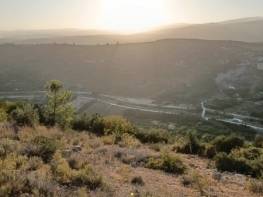 ÇEŞMELİ'DE DOĞA DENİZ MANZARALI SATILIK TARLA