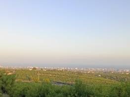 ÇEŞMELİ'DE FULL DENİZ MANZARALI SATILIK LİMON BAHÇESİ