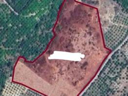 ÇİFTEPINAR'DA MUHTEŞEM KONUMDA SATILIK TARLA