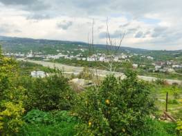 ÇİFTEPINAR'DA  SATILIK  LİMON BAHÇESİ ( AÇIKLAMAYI OKUYUNUZ )