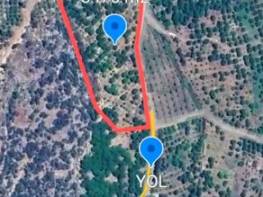 ÇİFTEPINAR'DA SATILIK LİMON BAHÇESİ