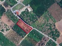 DAVULTEPE'DE SATILIK LİMON BAHÇESİ