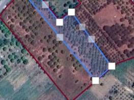 ELVAN'LIDA SATILIK LİMON BAHÇESİ 