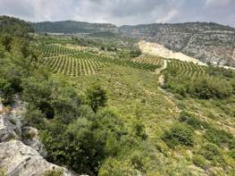 HACIHALİLARPAÇ’DA ACİL SATILIK İŞLENMEMİŞ TARLA 