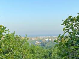 HACİHALİLARPAÇ'TA DENİZ MANZARALI LİMON BAHÇESİ