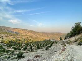 HACIHALİLARPAÇ'TA MUHTEŞEM KONUMDA YAPILI BAHÇE