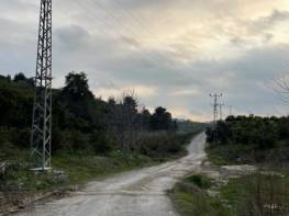 HACIHALİLARPAÇ’TA PORTAKAL VE LİMON BAHÇESİ 