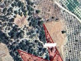 HACIHALİLARPAÇ'TA SATILIK BOŞ TARLA