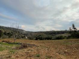 HACIHALİLARPAÇ’TA YARISI İŞLENMİŞ YARISI EKİLİ TARLA 