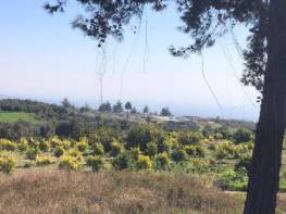 İLEMİN'DE MUHTEŞEM DENİZ MANZARALI VE MUHTEŞEM KONUMDA SATILIK TARLA