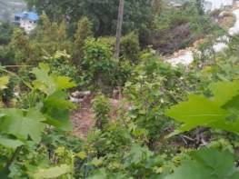 KARAYAKUP'TA SATILIK TARLA 