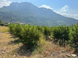 KORAMŞALI'DA SATILIK MANZARALI TARLA 