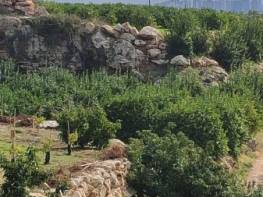 KÖSBUCAĞI'NDA YATIRIMLIK BAHÇE