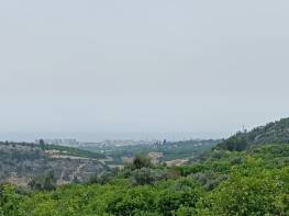 SARIYER'DE SATILIK LİMON BAHÇESİ