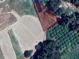 SIRAÇ'TA KONUT YAPIMINA UYGUN TARLA 