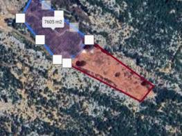 SIRAÇ'TA SATILIK ŞEFTALİ BAHÇESİ